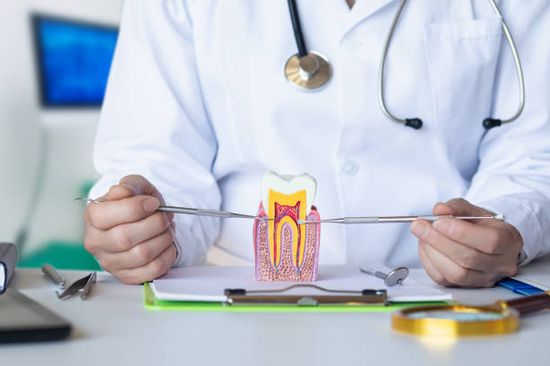 Best Holiday Emergency Dentist in Watseka, IL